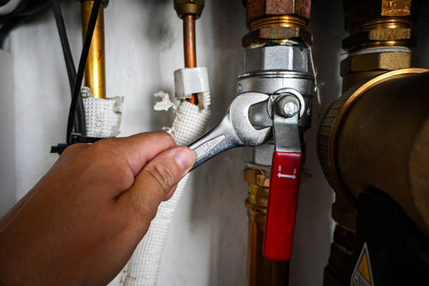 Best Commercial Plumbing Services  in Bokeelia, FL